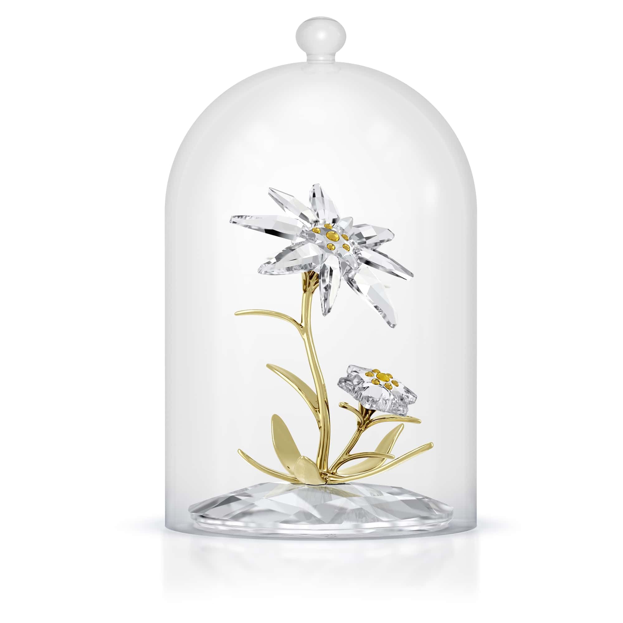 Amazon.co.jp: Swarovski Florere 130周年記念ベルジャー : Home & Kitchen